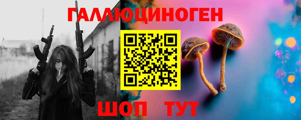 Псилоцибиновые грибы Cubensis  Вход с VPN  Вологда 